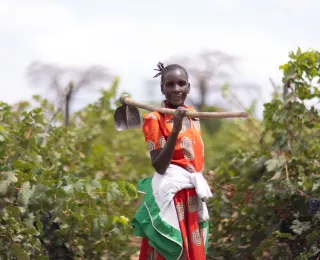 Smart Agriculture