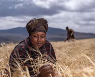 Smart Agriculture