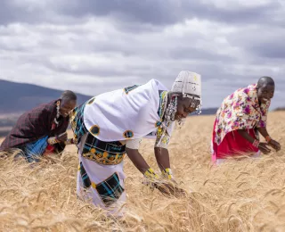Smart Agriculture