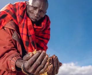 Smart Agriculture
