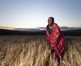 Smart Agriculture