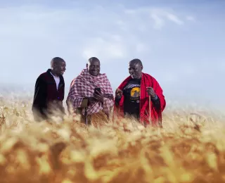 Smart Agriculture